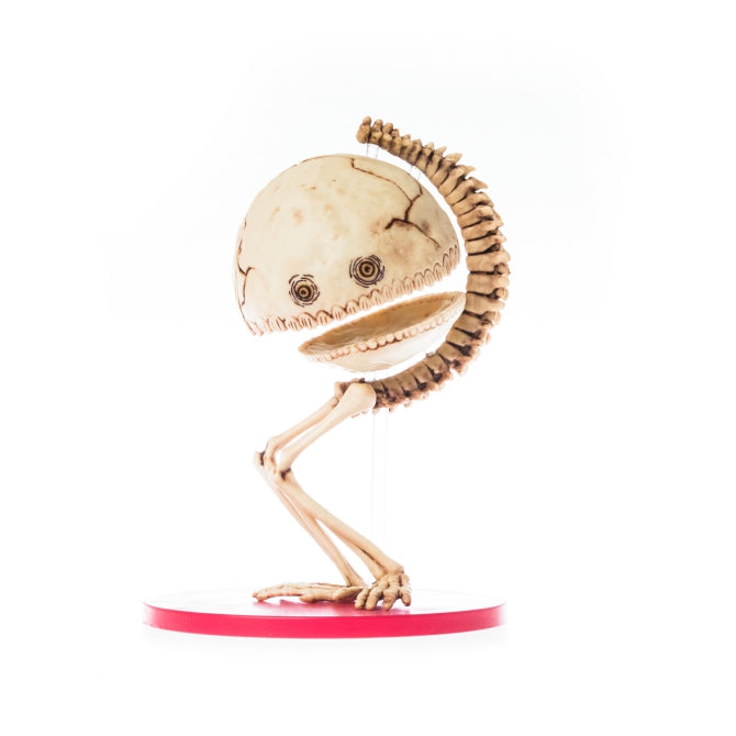 かいじゅうずかん / 復刻版 限定セット